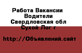 Работа Вакансии - Водители. Свердловская обл.,Сухой Лог г.